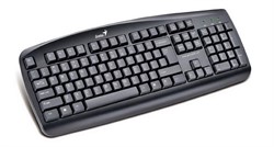 Клавиатура Genius KB-110 Black USB/RU/CB     31300700100 - фото 7895
