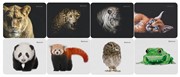 Defender Коврик для мыши Wild Animals 220x180x2 мм     50803